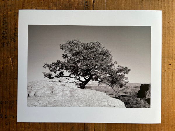 Canyonlands