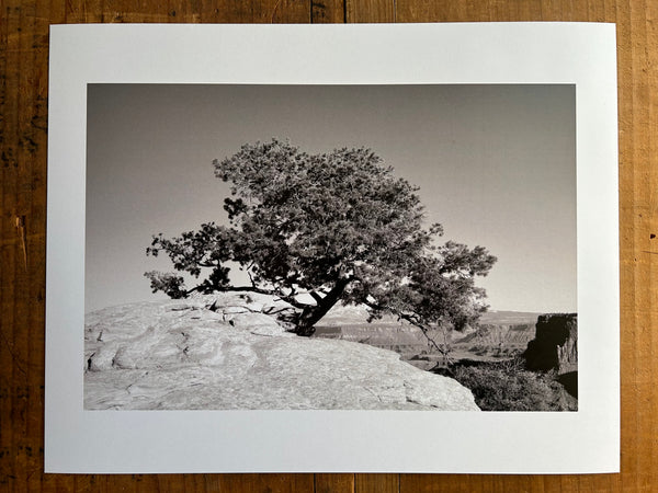Canyonlands