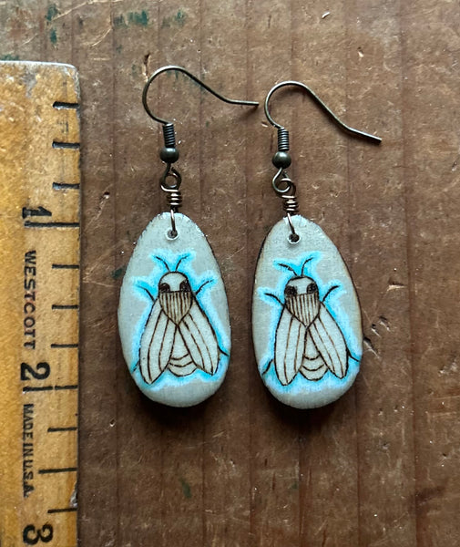 Little Turquoise Bugs